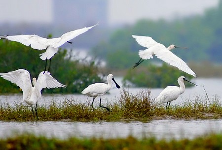 XUAN THUY NATIONAL PARK